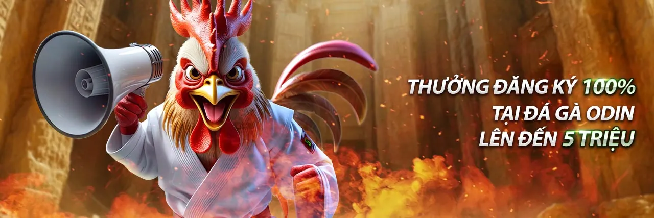 Hình ảnh đại diện cho Điều khoản dịch vụ của 5fit trang chủ chính thức, thể hiện sự an toàn và minh bạch